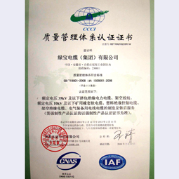 安博·体育中国有限公司集团质量体系认证