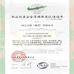 安博·体育中国有限公司集团职业健康体系认证